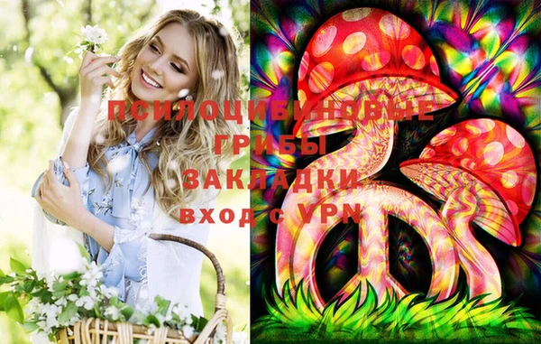 хмурый Вязники
