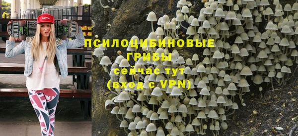хмурый Вязники