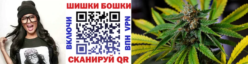 Канабис сатива  Купить закладки  Луза 